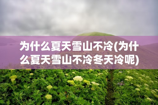 为什么夏天雪山不冷(为什么夏天雪山不冷冬天冷呢)