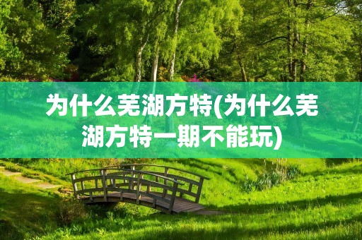 为什么芜湖方特(为什么芜湖方特一期不能玩)