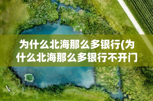 为什么北海那么多银行(为什么北海那么多银行不开门)
