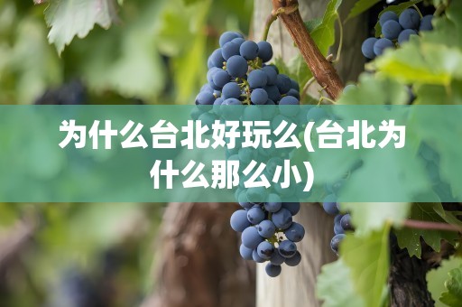 为什么台北好玩么(台北为什么那么小)