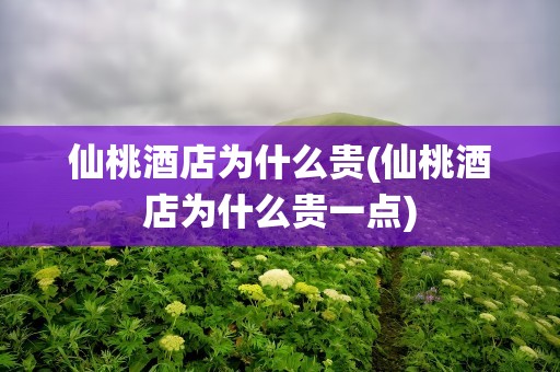 仙桃酒店为什么贵(仙桃酒店为什么贵一点)