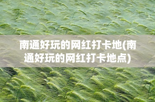 南通好玩的网红打卡地(南通好玩的网红打卡地点)