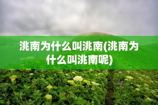 洮南为什么叫洮南(洮南为什么叫洮南呢)