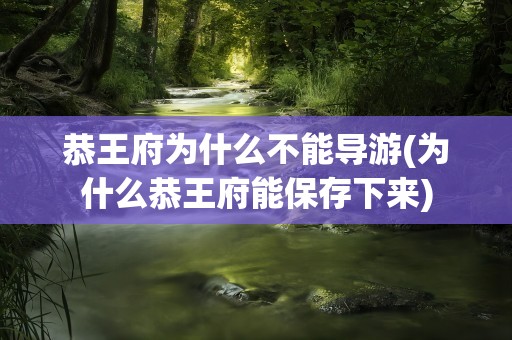 恭王府为什么不能导游(为什么恭王府能保存下来)