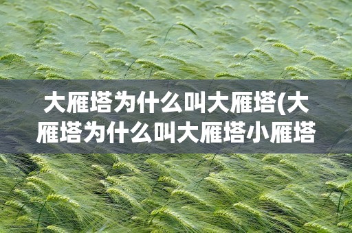 大雁塔为什么叫大雁塔(大雁塔为什么叫大雁塔小雁塔为什么叫小雁塔)