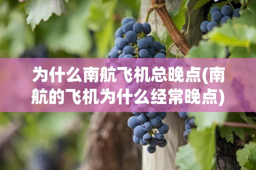 为什么南航飞机总晚点(南航的飞机为什么经常晚点)