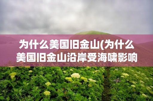 为什么美国旧金山(为什么美国旧金山沿岸受海啸影响的时间早)