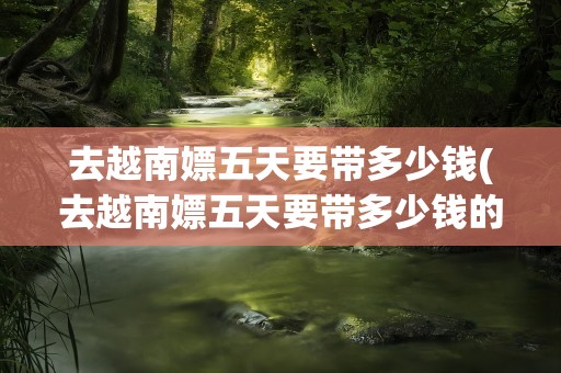 去越南嫖五天要带多少钱(去越南嫖五天要带多少钱的东西)