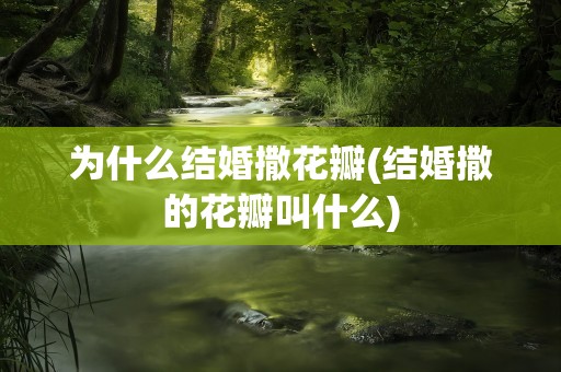 为什么结婚撒花瓣(结婚撒的花瓣叫什么)