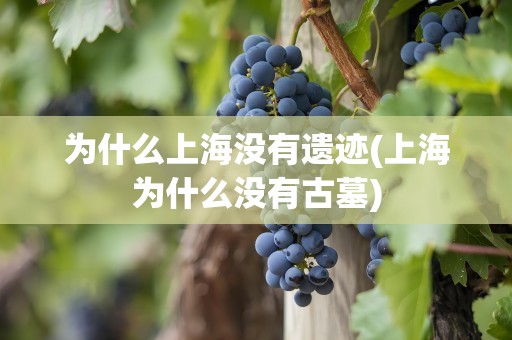 为什么上海没有遗迹(上海为什么没有古墓)