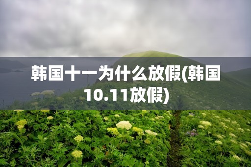 韩国十一为什么放假(韩国10.11放假)