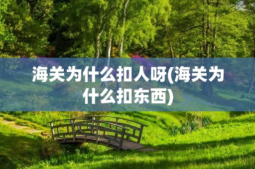 海关为什么扣人呀(海关为什么扣东西)