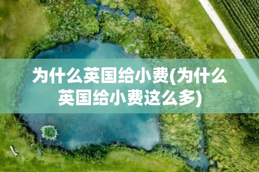 为什么英国给小费(为什么英国给小费这么多)