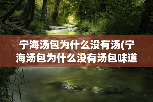 宁海汤包为什么没有汤(宁海汤包为什么没有汤包味道)