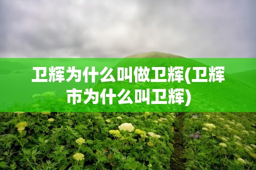 卫辉为什么叫做卫辉(卫辉市为什么叫卫辉)