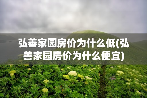 弘善家园房价为什么低(弘善家园房价为什么便宜)