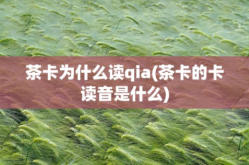 茶卡为什么读qia(茶卡的卡读音是什么)