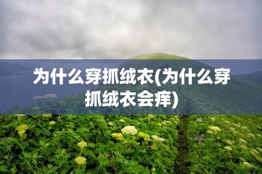 为什么穿抓绒衣(为什么穿抓绒衣会痒)