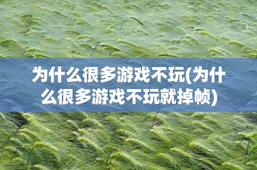 为什么很多游戏不玩(为什么很多游戏不玩就掉帧)