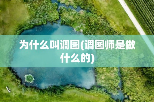 为什么叫调图(调图师是做什么的)