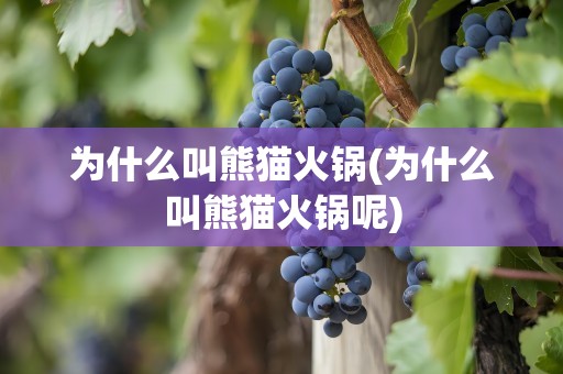 为什么叫熊猫火锅(为什么叫熊猫火锅呢)