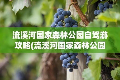 流溪河国家森林公园自驾游攻略(流溪河国家森林公园自驾游推荐)