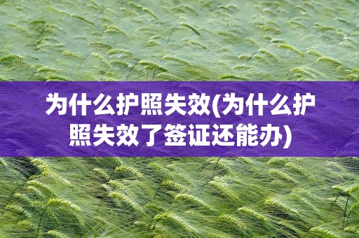 为什么护照失效(为什么护照失效了签证还能办)