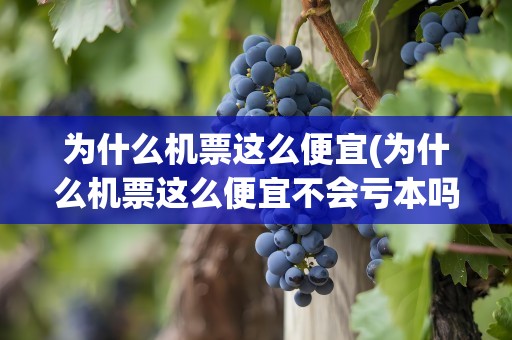 为什么机票这么便宜(为什么机票这么便宜不会亏本吗)