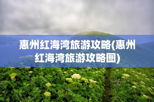惠州红海湾旅游攻略(惠州红海湾旅游攻略图)