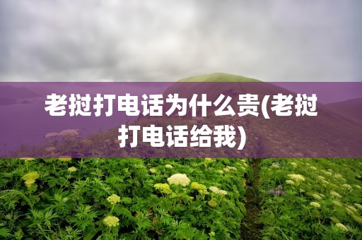 老挝打电话为什么贵(老挝打电话给我)