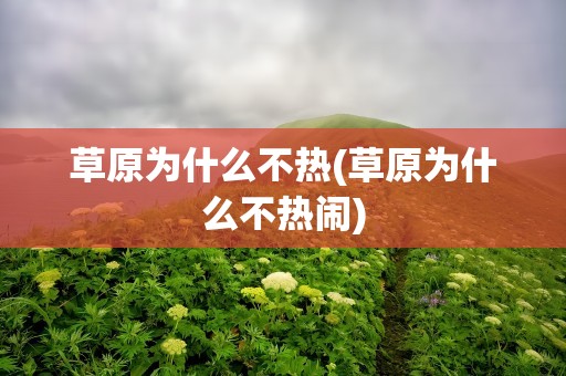 草原为什么不热(草原为什么不热闹)