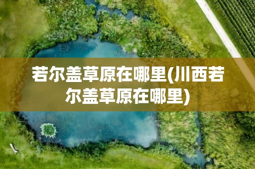 若尔盖草原在哪里(川西若尔盖草原在哪里)