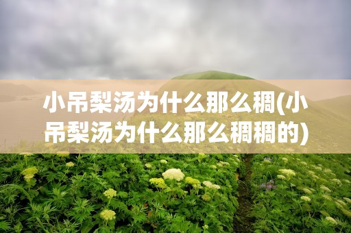 小吊梨汤为什么那么稠(小吊梨汤为什么那么稠稠的)
