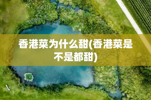 香港菜为什么甜(香港菜是不是都甜)