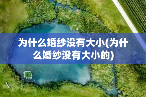 为什么婚纱没有大小(为什么婚纱没有大小的)