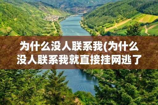 为什么没人联系我(为什么没人联系我就直接挂网逃了)