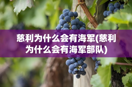 慈利为什么会有海军(慈利为什么会有海军部队)