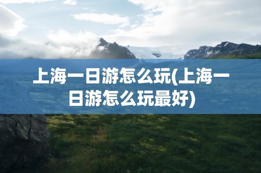 上海一日游怎么玩(上海一日游怎么玩最好)