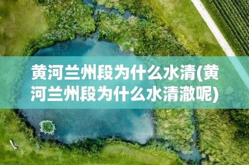 黄河兰州段为什么水清(黄河兰州段为什么水清澈呢)