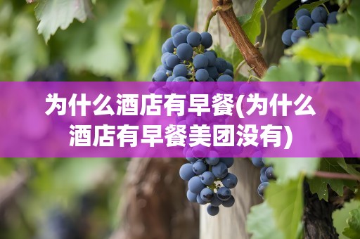 为什么酒店有早餐(为什么酒店有早餐美团没有)