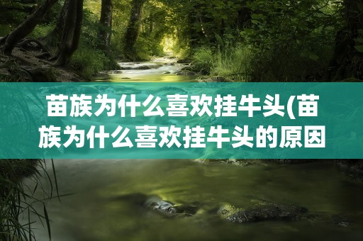 苗族为什么喜欢挂牛头(苗族为什么喜欢挂牛头的原因)