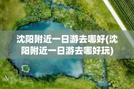 沈阳附近一日游去哪好(沈阳附近一日游去哪好玩)