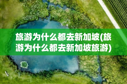 旅游为什么都去新加坡(旅游为什么都去新加坡旅游)