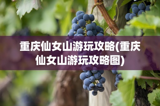 重庆仙女山游玩攻略(重庆仙女山游玩攻略图)