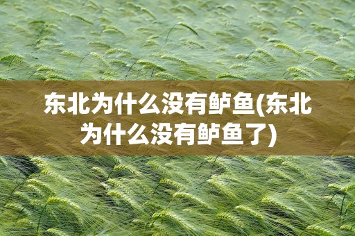 东北为什么没有鲈鱼(东北为什么没有鲈鱼了)