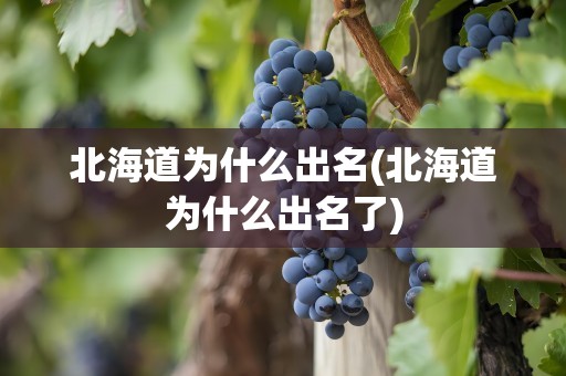 北海道为什么出名(北海道为什么出名了)