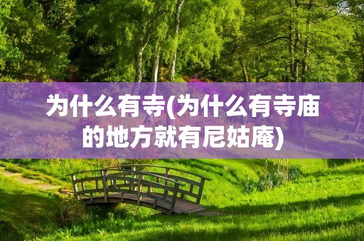 为什么有寺(为什么有寺庙的地方就有尼姑庵)