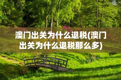 澳门出关为什么退税(澳门出关为什么退税那么多)