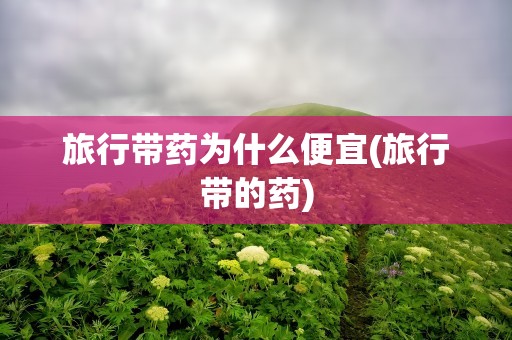 旅行带药为什么便宜(旅行带的药)