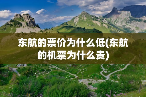 东航的票价为什么低(东航的机票为什么贵)